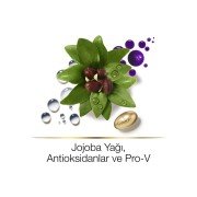 Pantene Hair Biology Saç Maskesi Renk Canlandırıcı ve Parlatıcı 160 ml