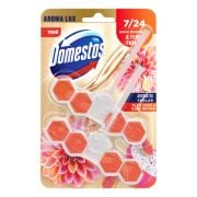 Domestos Wc Blok Yıldız Çiçeği & Ejder Meyvesi 2x50 g