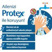 Protex Aloe Kalıp Sabun 90 gr