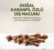 Eyüp Sabri Tuncer Doğal Karanfil Özlü Diş Macunu 90 ml