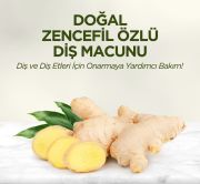 Eyüp Sabri Tuncer Doğal Zencefil Özlü Diş Macunu 90 ml