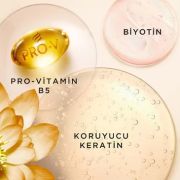 Pantene Pro-V Miracles Frizz No More Kıvırcık Saçlar İçin Şampuan 325 ml