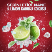 Old Spice Cold Spice Terlemeyi Önleyici Erkek Deodorant Sprey 150 ml