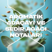 Axe Apollo Erkek Deodorant Sprey 150 ml