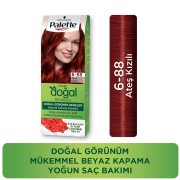 Palette Kalıcı Doğal Renkler 6-88 Ateş Kızılı