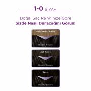 Palette Göz Alıcı Renkler 1-0 - Siyah