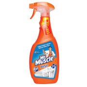 Mr. Muscle Banyo Temizleyici 750 ml