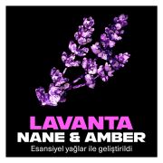 Axe Premium Collection Erkek Sprey Deodorant Blue Lavender 72 Saat Ferahlık 150 ml