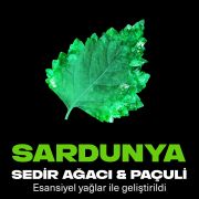 Axe Erkek Sprey Deodorant Emerald Sage 150 ml